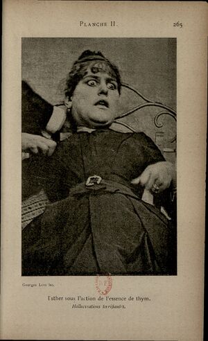 Luys Hypnotisme Planche II - Esther hallucinations terrifiantes.jpg